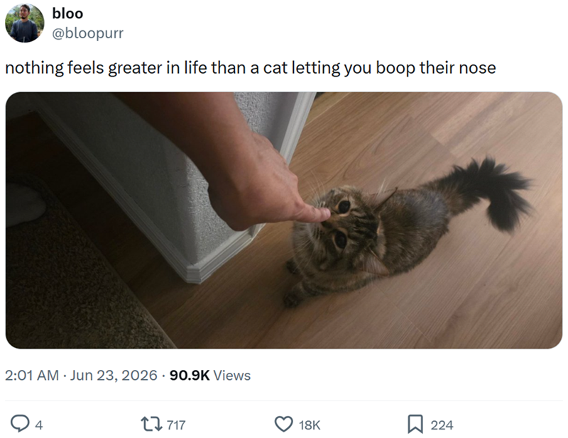bloo @bloopurr nothing feels greater in life than a cat letting you boop their nose 2:01 AM Jun 23, 2026 · 90.9K Views 4 17717 18K 224