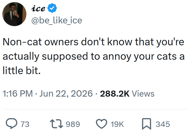 ice @be_like_ice Non-cat owners don't know that you're actually supposed to annoy your cats a little bit. 1:16 PM ⚫ Jun 22, 2026 - 288.2K Views ◇ 73 17989 19K ☐ 345
