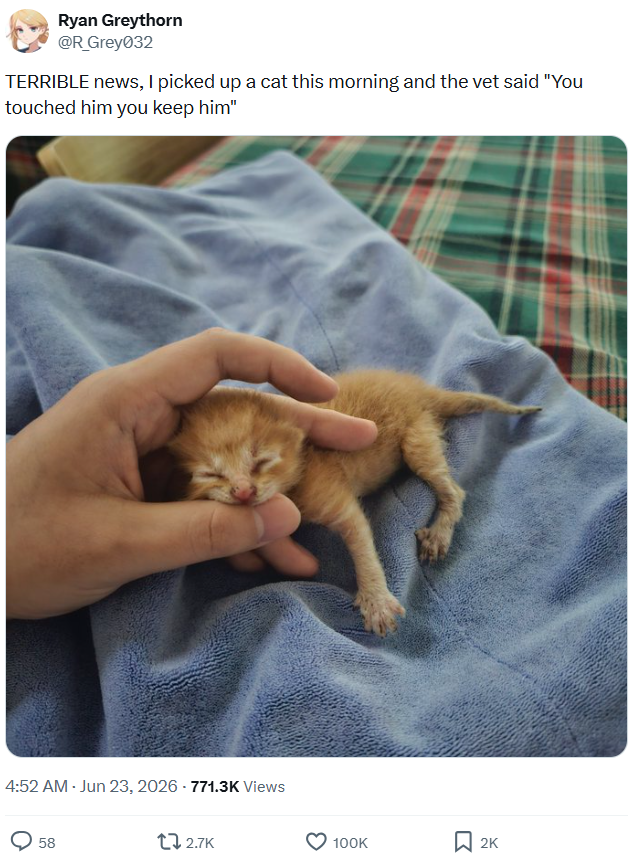 Ryan Greythorn @R_Grey032 TERRIBLE news, I picked up a cat this morning and the vet said "You touched him you keep him" 4:52 AM - Jun 23, 2026 - 771.3K Views 58 2.7K 100K ☐ 2K