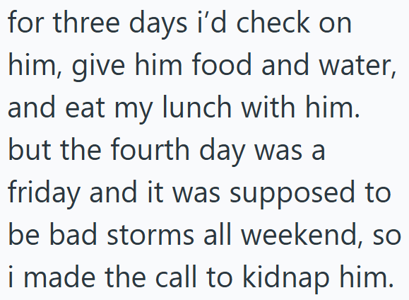 for three days i'd check on him, give him food and water, and eat my lunch with him. but the fourth day was a friday and it was supposed to be bad storms all weekend, so i made the call to kidnap him.