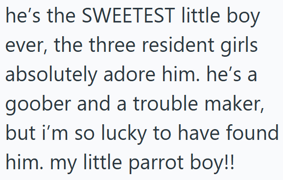 he's the SWEETEST little boy ever, the three resident girls absolutely adore him. he's a goober and a trouble maker, but i'm so lucky to have found him. my little parrot boy!!