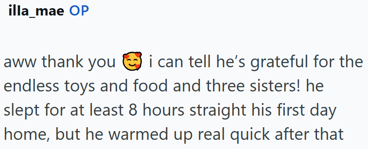 illa_mae OP aww thank you i can tell he's grateful for the endless toys and food and three sisters! he slept for at least 8 hours straight his first day home, but he warmed up real quick after that