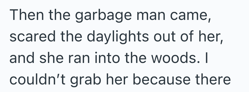 Then the garbage man came, scared the daylights out of her, and she ran into the woods. I couldn't grab her because there