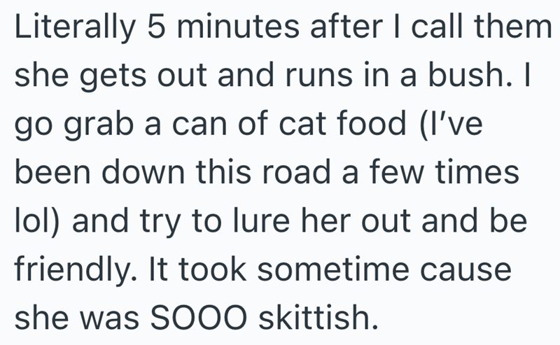Literally 5 minutes after I call them she gets out and runs in a bush. I go grab a can of cat food (I've been down this road a few times lol) and try to lure her out and be friendly. It took sometime cause she was SOOO skittish.
