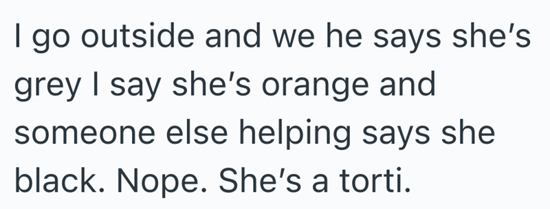 I go outside and we he says she's grey I say she's orange and someone else helping says she black. Nope. She's a torti.