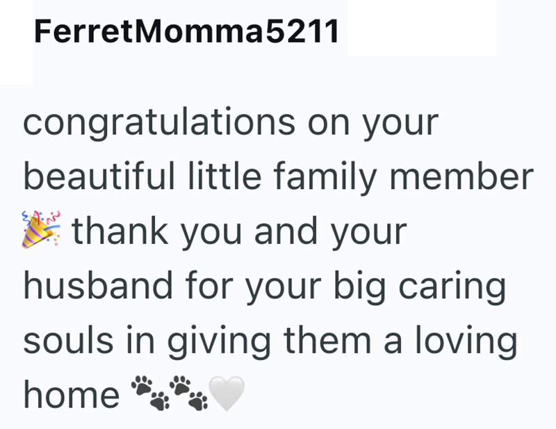 FerretMomma5211 congratulations on your beautiful little family member thank you and your husband for your big caring souls in giving them a loving home