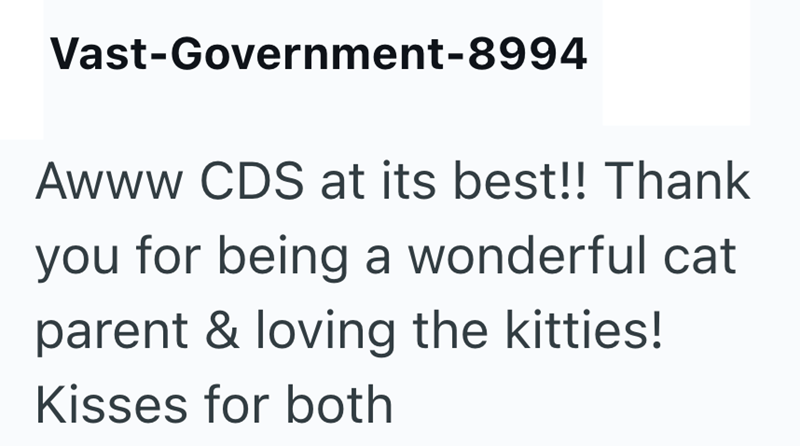 Vast-Government-8994 Awww CDS at its best!! Thank you for being a wonderful cat parent & loving the kitties! Kisses for both