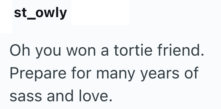 st_owly Oh you won a tortie friend. Prepare for many years of sass and love.
