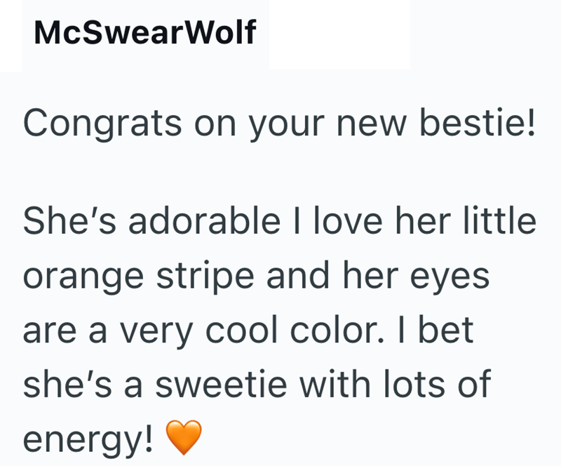 McSwearWolf Congrats on your new bestie! She's adorable I love her little orange stripe and her eyes. are a very cool color. I bet she's a sweetie with lots of energy!
