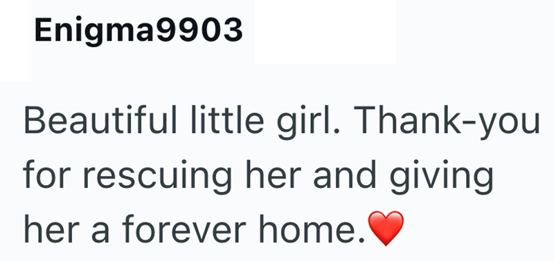 Enigma9903 Beautiful little girl. Thank-you for rescuing her and giving her a forever home.