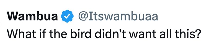 Wambua @Itswambuaa What if the bird didn't want all this?