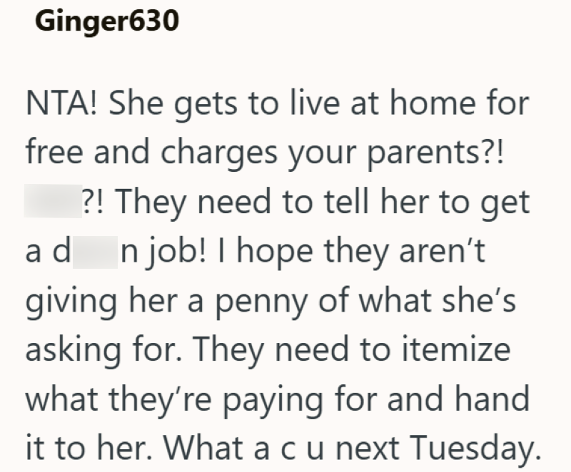 Ginger630 NTA! She gets to live at home for free and charges your parents?! ?! They need to tell her to get ad n job! I hope they aren't giving her a penny of what she's asking for. They need to itemize what they're paying for and hand it to her. What a cu next Tuesday.