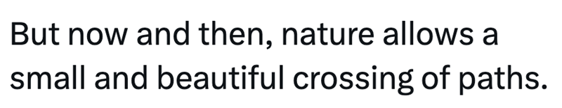But now and then, nature allows a small and beautiful crossing of paths.