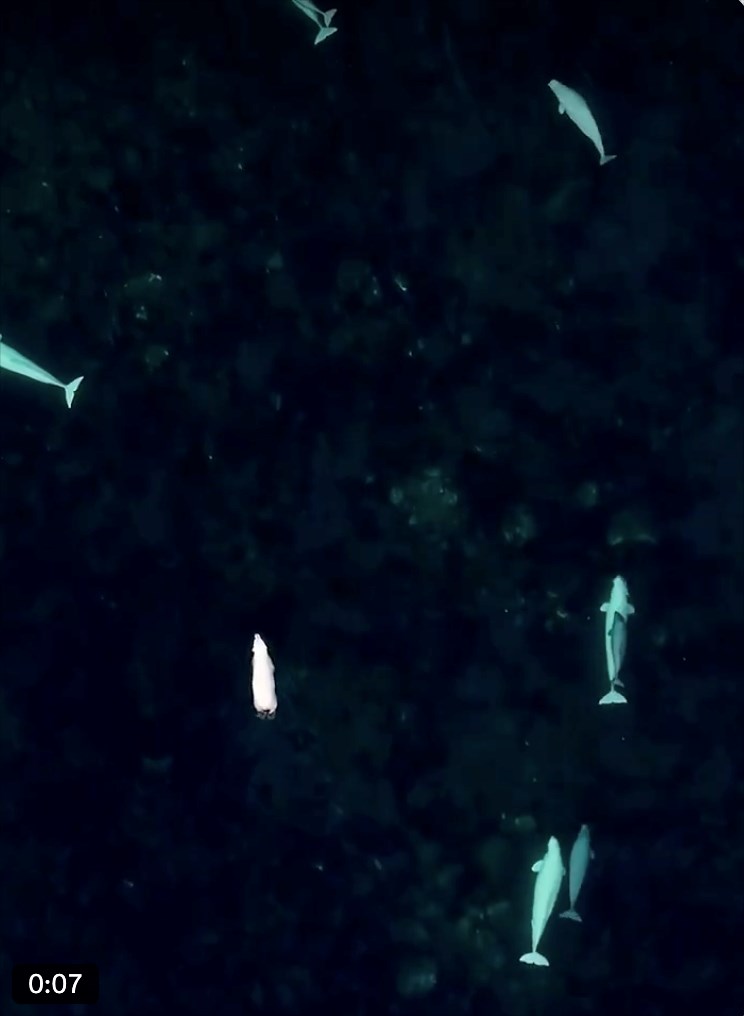 0:07