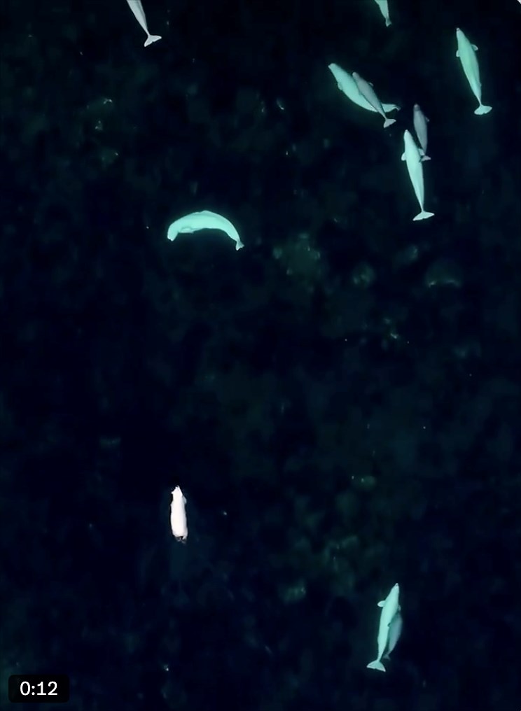 0:12