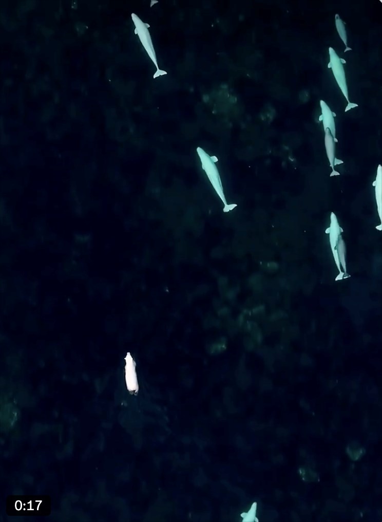 0:17