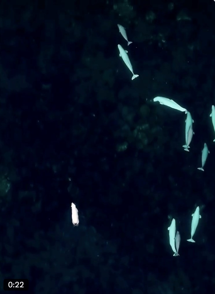 0:22