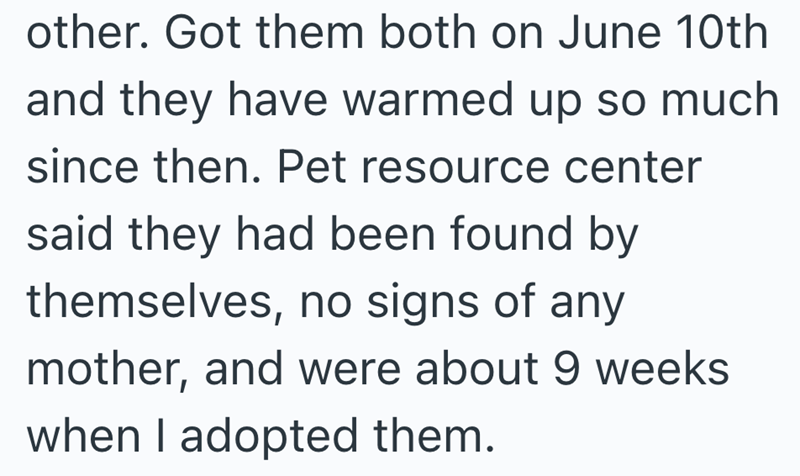 other. Got them both on June 10th and they have warmed up so much since then. Pet resource center said they had been found by themselves, no signs of any mother, and were about 9 weeks when I adopted them.