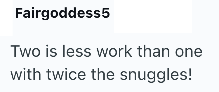 Fairgoddess5 Two is less work than one with twice the snuggles!