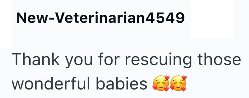 New-Veterinarian4549 Thank you for rescuing those wonderful babies Ga