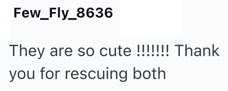 Few_Fly_8636 They are so cute!!!!!!! Thank you for rescuing both