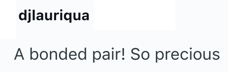 djlauriqua A bonded pair! So precious