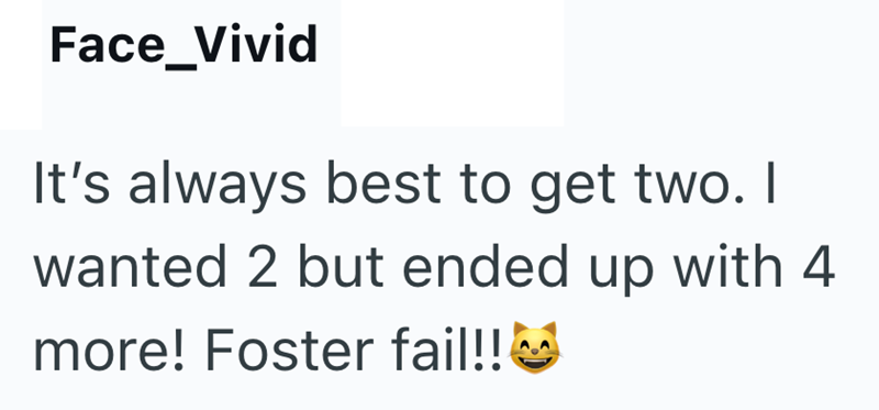 Face_Vivid It's always best to get two. I wanted 2 but ended up with 4 more! Foster fail!!