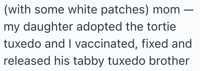 (with some white patches) mom my daughter adopted the tortie tuxedo and I vaccinated, fixed and released his tabby tuxedo brother