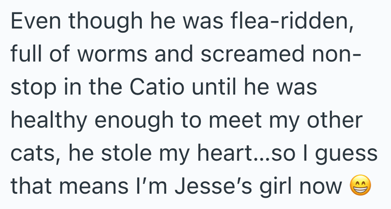 Even though he was flea-ridden, full of worms and screamed non- stop in the Catio until he was healthy enough to meet my other cats, he stole my heart...so I guess that means I'm Jesse's girl now