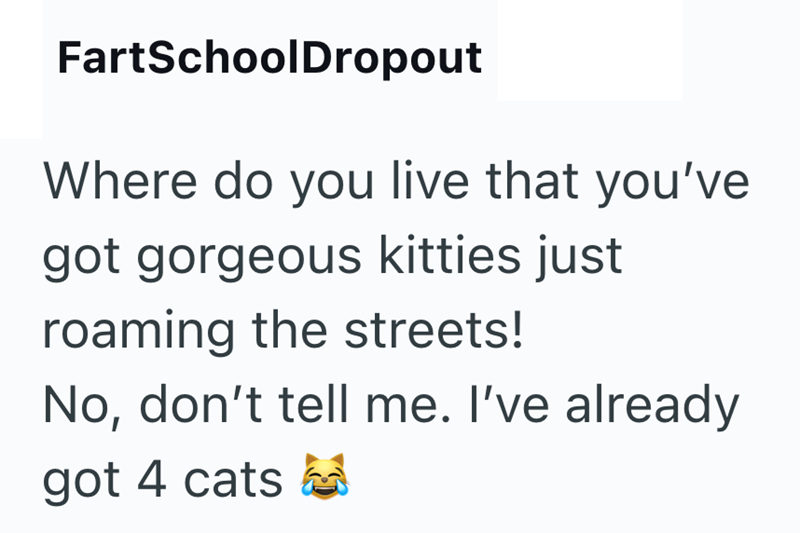 FartSchoolDropout Where do you live that you've got gorgeous kitties just roaming the streets! No, don't tell me. I've already got 4 cats