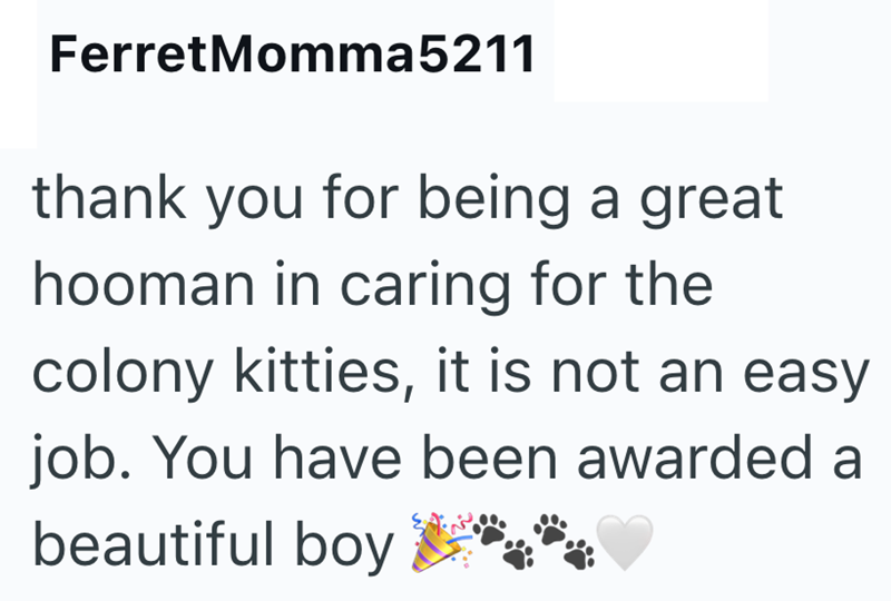 FerretMomma5211 thank you for being a great hooman in caring for the colony kitties, it is not an easy job. You have been awarded a beautiful boy