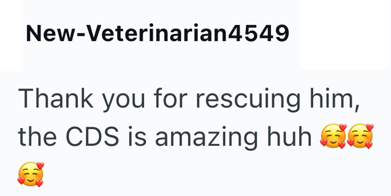 New-Veterinarian4549 Thank you for rescuing him, the CDS is amazing huh