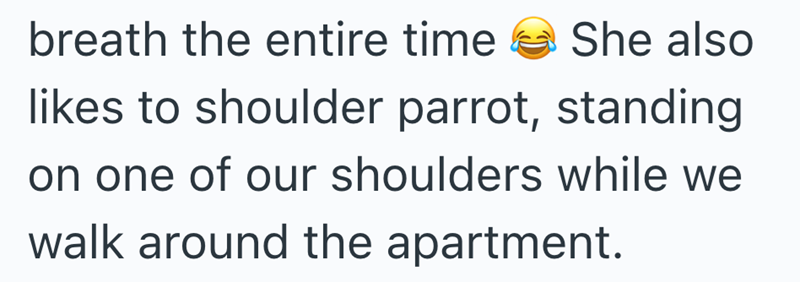 breath the entire time She also likes to shoulder parrot, standing on one of our shoulders while we walk around the apartment.
