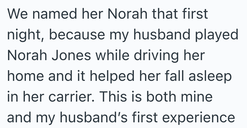 We named her Norah that first night, because my husband played Norah Jones while driving her home and it helped her fall asleep in her carrier. This is both mine and my husband's first experience