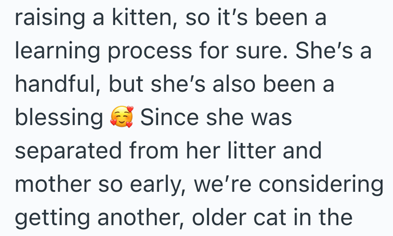 raising a kitten, so it's been a learning process for sure. She's a handful, but she's also been a blessing Since she was separated from her litter and mother so early, we're considering getting another, older cat in the
