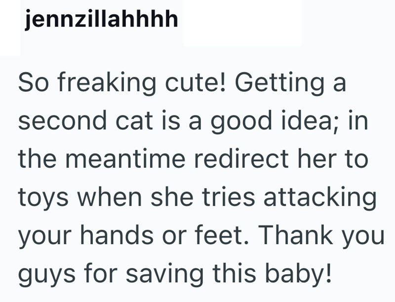 jennzillahhhh So freaking cute! Getting a second cat is a good idea; in the meantime redirect her to toys when she tries attacking your hands or feet. Thank you guys for saving this baby!