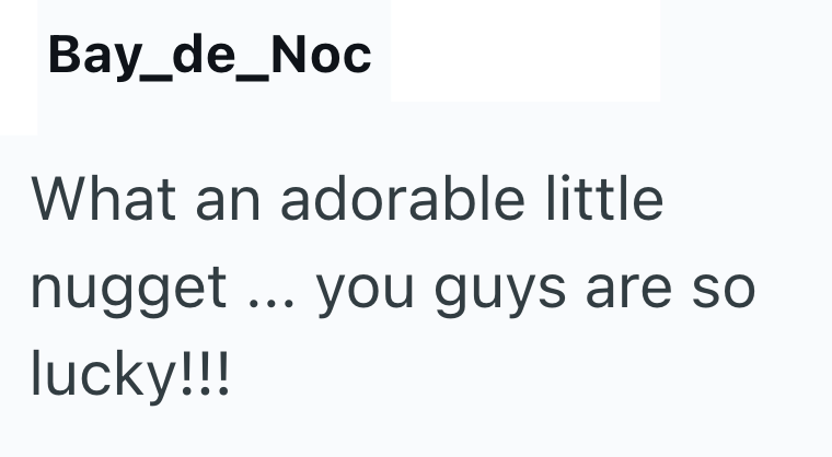 Bay_de_Noc What an adorable little nugget... you guys are so lucky!!!