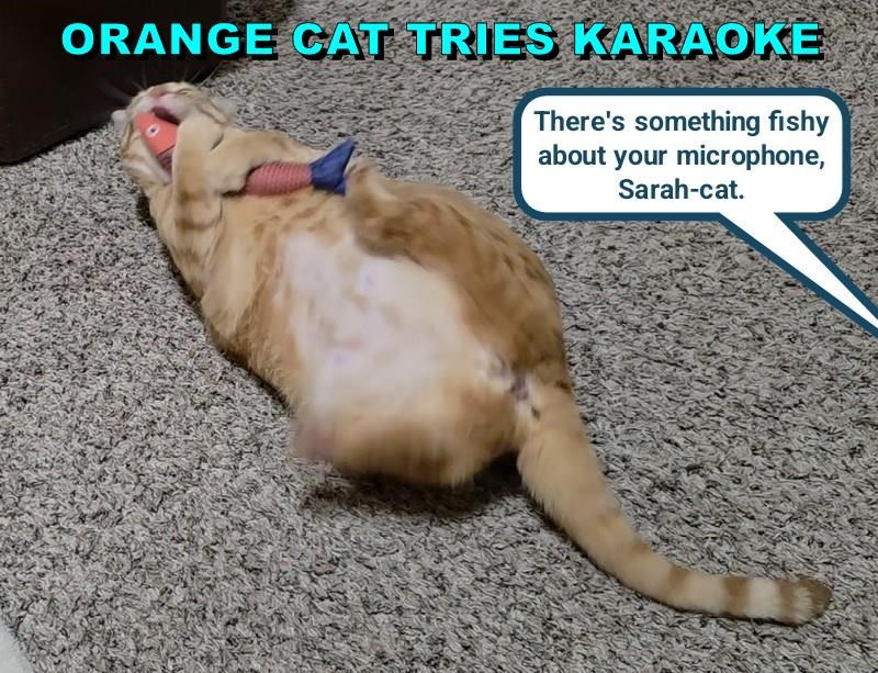 Cheezburger Image 10642925824
