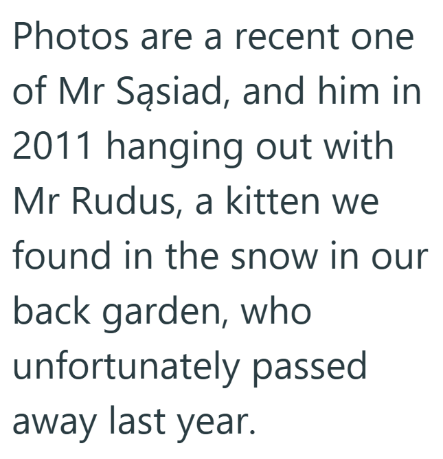 Photos are a recent one of Mr Sąsiad, and him in 2011 hanging out with Mr Rudus, a kitten we found in the snow in our back garden, who unfortunately passed away last year.