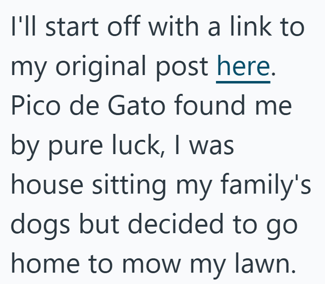 I'll start off with a link to my original post here. Pico de Gato found me by pure luck, I was house sitting my family's dogs but decided to go home to mow my lawn.
