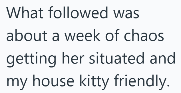 What followed was about a week of chaos getting her situated and my house kitty friendly.