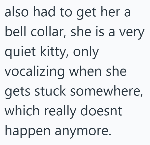 also had to get her a bell collar, she is a very quiet kitty, only vocalizing when she gets stuck somewhere, which really doesnt happen anymore.