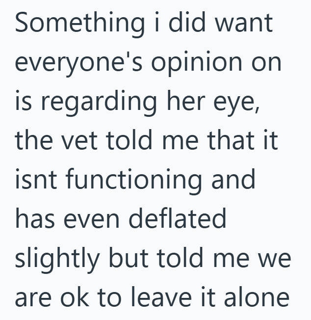 Something i did want everyone's opinion on is regarding her eye, the vet told me that it isnt functioning and has even deflated slightly but told me we are ok to leave it alone