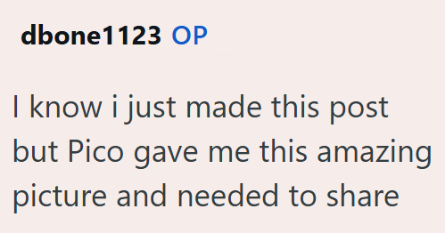 dbone1123 OP I know i just made this post but Pico gave me this amazing picture and needed to share