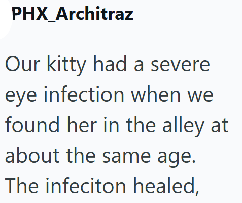 PHX Architraz Our kitty had a severe eye infection when we found her in the alley at about the same age. The infeciton healed,