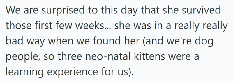 We are surprised to this day that she survived those first few weeks... she was in a really really bad way when we found her (and we're dog people, so three neo-natal kittens were a learning experience for us).