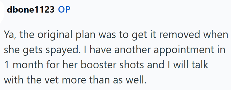 dbone1123 OP Ya, the original plan was to get it removed when she gets spayed. I have another appointment in 1 month for her booster shots and I will talk with the vet more than as well.
