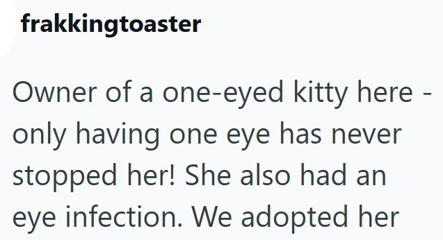 frakkingtoaster Owner of a one-eyed kitty here - only having one eye has never stopped her! She also had an eye infection. We adopted her