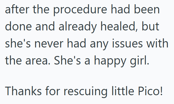 after the procedure had been done and already healed, but she's never had any issues with the area. She's a happy girl. Thanks for rescuing little Pico!