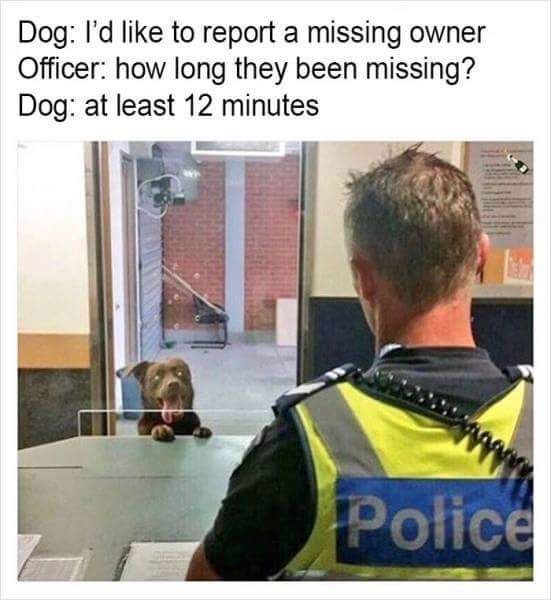 Dog: I'd like to report a missing owner Officer: how long they been missing? Dog: at least 12 minutes Police